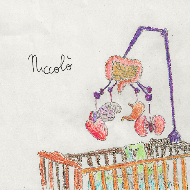 Niccolò